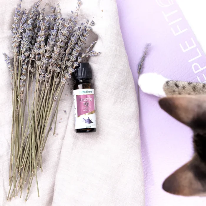 روغن لوندر (Lavender Oil) - Image 3