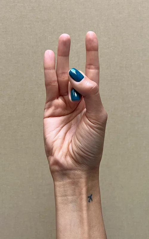 شونیا مودرا