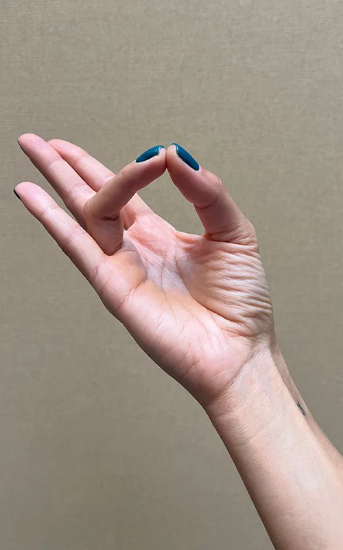 سوریا راوی مودرا