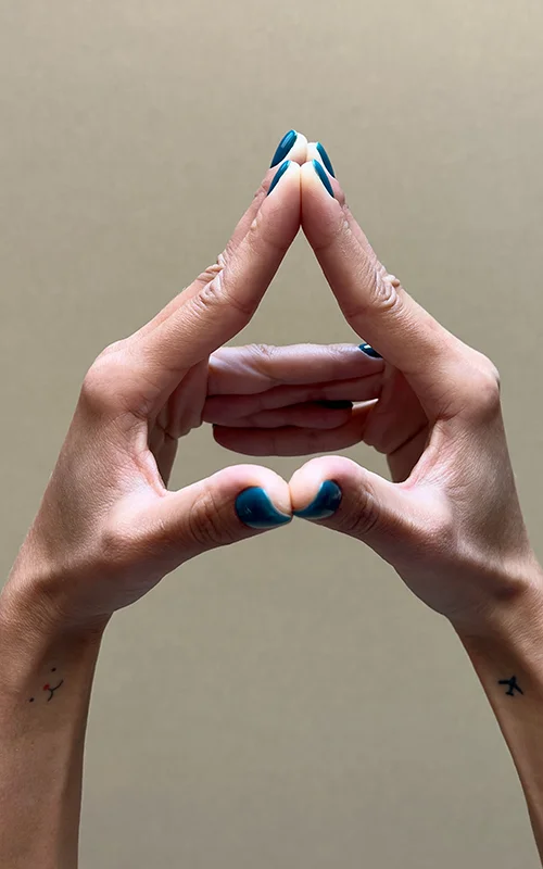 انواع مودرا