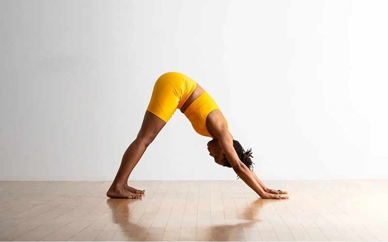 آدهو موکا شواناسانا از آساناهای یوگا