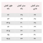 كفش باراوسل - Image 2