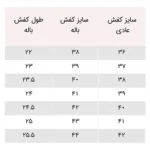 کفش باراوسل و باله - Image 2