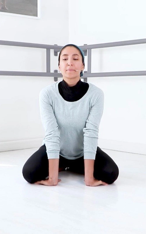 حرکت شیر چیست؟